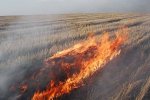 Бендерские пожарные предотвратили распространение возгорания на пшеничном поле у села Варница